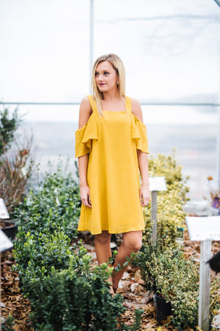 Dream Spring Dress